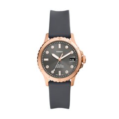 Fossil FB-01 женские часы цена и информация | Женские часы | 220.lv