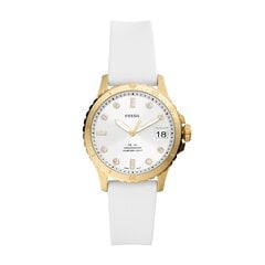 Fossil FB-01 женские часы цена и информация | Женские часы | 220.lv