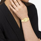 Sieviešu pulkstenis Calvin Klein Charming цена и информация | Sieviešu pulksteņi | 220.lv