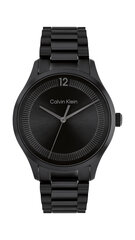 Calvin Klein CK Iconic unisex часы цена и информация | Женские часы | 220.lv