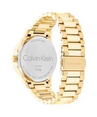 Calvin Klein CK Iconic unisex часы цена и информация | Женские часы | 220.lv