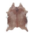 Ayyildiz paklājs Etosha 1502004112 150x200 cm