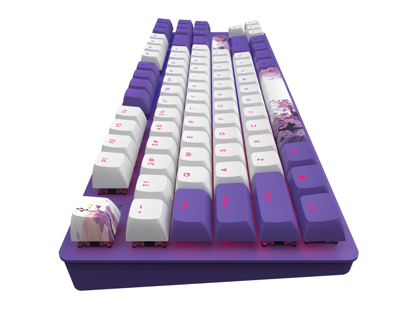 Dark Project One 87 Violet Horizons, G3MS Sapphire Switch, US cena un informācija | Klaviatūras | 220.lv