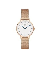 Daniel Wellington Petite женские часы цена и информация | Женские часы | 220.lv