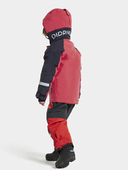 Детские лыжные штаны Didriksons IDRE, красный цвет цена и информация | Зимняя одежда для детей | 220.lv