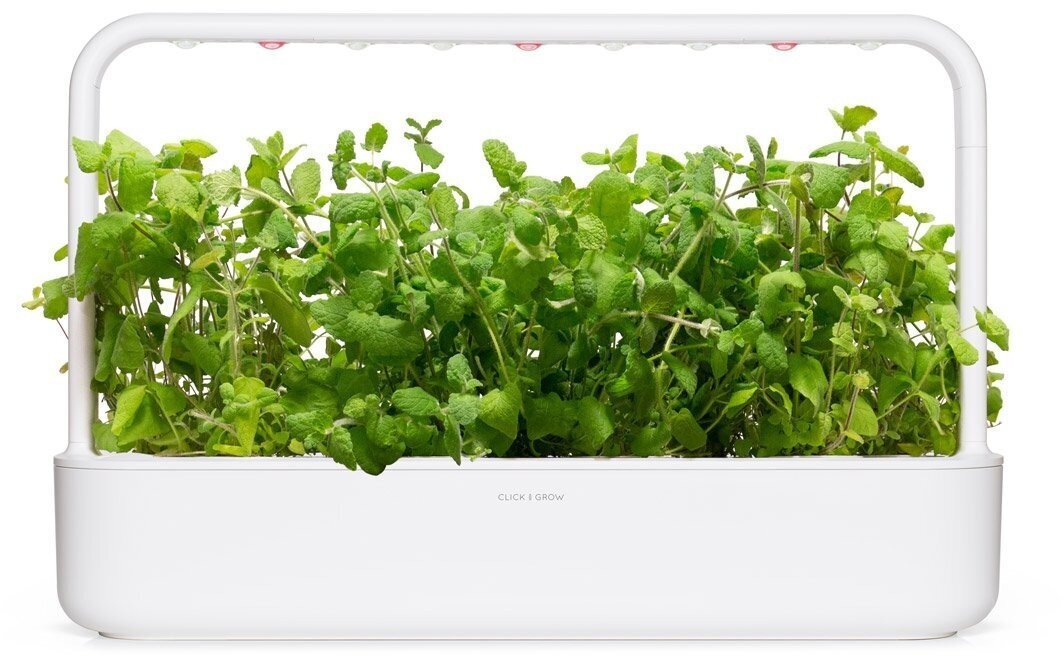 Piparmētru komplekts Click & Grow Smart Garden, komplektā 3 produkti cena un informācija | Diedzēšanas trauki, augu lampas | 220.lv