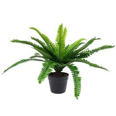 Комплект из 2 зеленых растений Boston Fern, H60см, черный горшок цена и информация | Искусственный букет DKD Home Decor, 2 шт | 220.lv