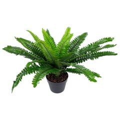 Комплект из 2 зеленых растений Boston Fern, H60см, черный горшок цена и информация | Искусственный букет DKD Home Decor, 2 шт | 220.lv