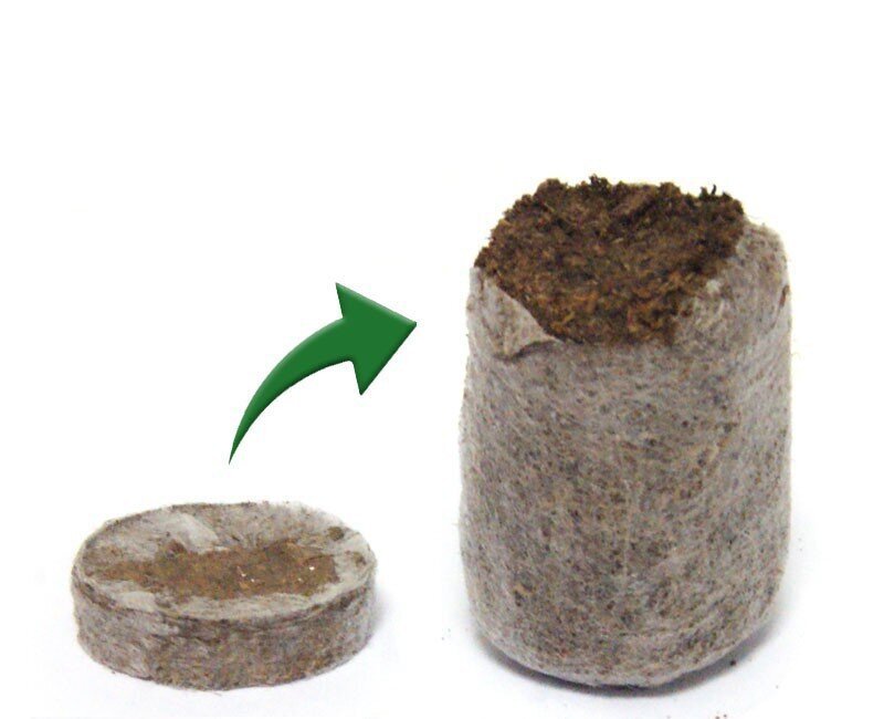 Kasete ar 60 kokosa granulu aizbāžņiem VG Garden ø44mm, 53x31cm, komplektā 3 produkti cena un informācija | Grunts, zeme, kūdra, komposts | 220.lv