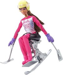 кукла барби горный лыжник цена и информация | Игрушки для девочек | 220.lv