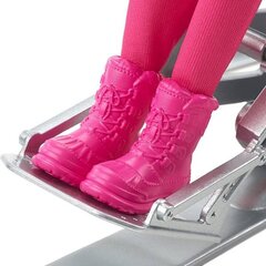 Lella Barbie Winter Sports Parolimpietė cena un informācija | Rotaļlietas meitenēm | 220.lv