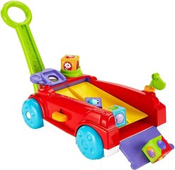 Stumjamie bērnu ratiņi cena un informācija | Rotaļlietas zīdaiņiem | 220.lv