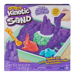 Волшебный песок Spin Master Kinetic Sand цена и информация | Принадлежности для рисования, лепки | 220.lv