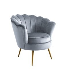 Atzveltnes krēsls JD Elegance Neptune, pelēks цена и информация | Кресла в гостиную | 220.lv