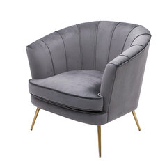 Кресло JD Elegance Patrizio цена и информация | Кресла в гостиную | 220.lv