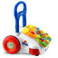 Izglītojoša stumjamā rotaļlieta ar mūziku 2in1 Ricokids, RK-744 cena un informācija | Rotaļlietas zīdaiņiem | 220.lv