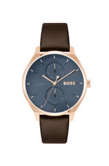 Boss Tyler мужские часы цена и информация | Мужские часы | 220.lv