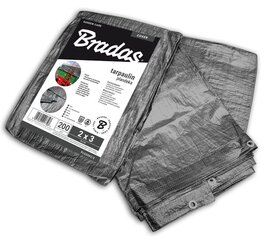 Ūdensnecaurlaidīgs brezents/tents Bradas 200g/m², pelēks, 2 x 3 m, komplektā 3 produkti цена и информация | Садовые инструменты | 220.lv