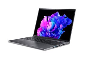 Acer Swift SFX16-61G-R21B (NX.KFPEL.001) цена и информация | Ноутбуки | 220.lv