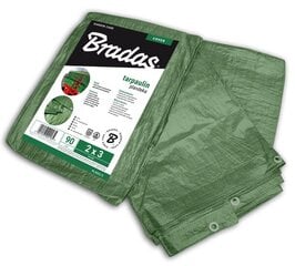 Ūdensnecaurlaidīgs brezents/tents Bradas, 90g/m², 3 x 3 m, komplektā 5 produkti cena un informācija | Dārza instrumenti | 220.lv