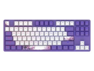 Dark Project One 87 Violet Horizons RGB Ansi, ENG/UA цена и информация | Клавиатуры | 220.lv