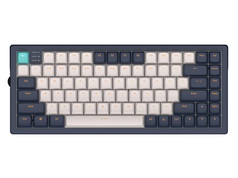 Dark Project KD83A Ivory / Navy Blue - RGB ANSI (ENG) цена и информация | Клавиатуры | 220.lv