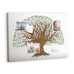 Korķa dēlis Sakņu koks, 100x70 cm cena un informācija | Kancelejas preces | 220.lv