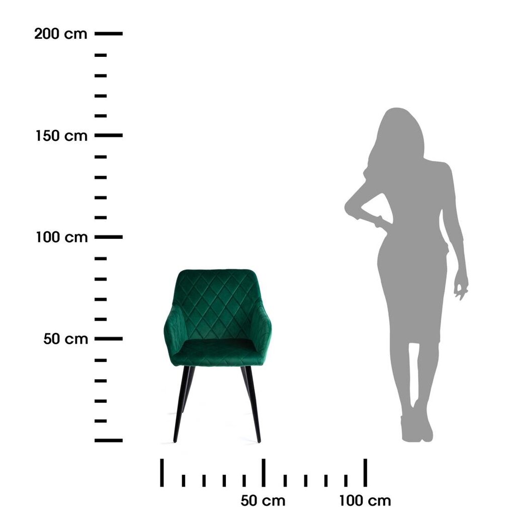 Krēsls Rico, zaļš cena un informācija | Virtuves un ēdamistabas krēsli | 220.lv