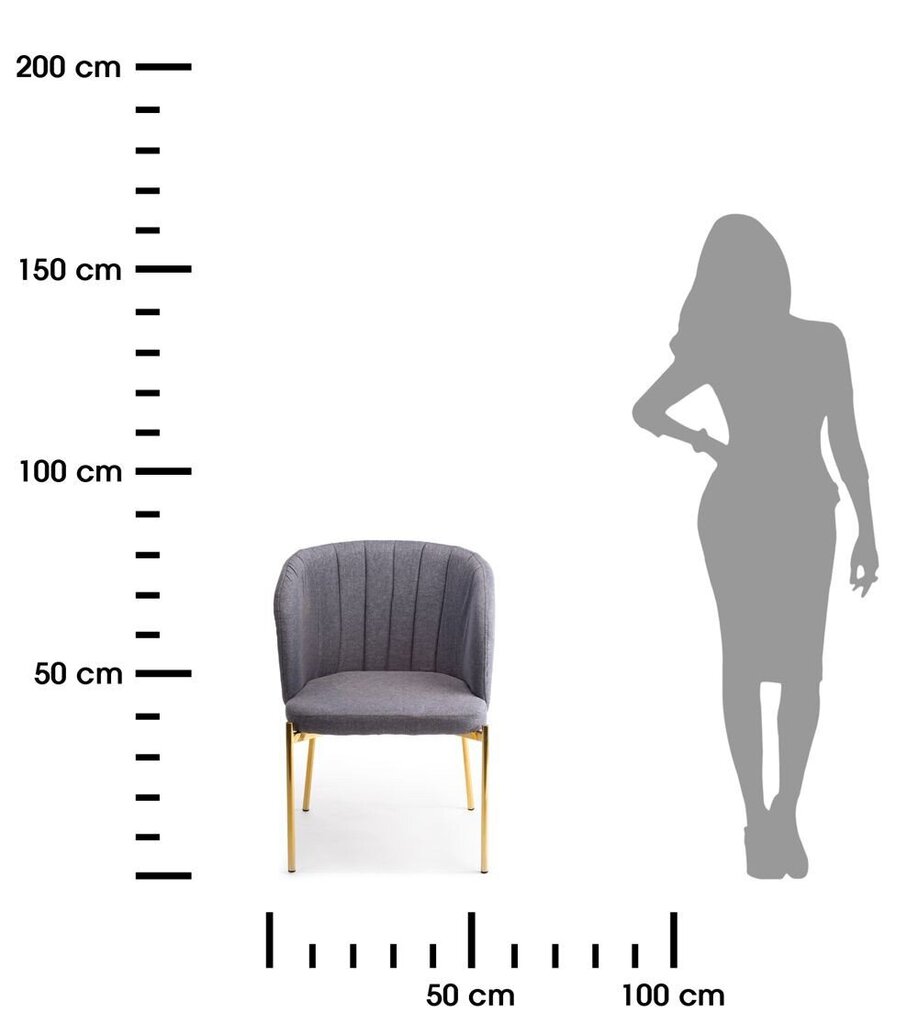 Marselo Zelta pelēks polsterēts krēsls cena un informācija | Virtuves un ēdamistabas krēsli | 220.lv