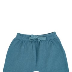 Спортивные брюки для мальчиков, синие цена и информация | Штаны для мальчиков | 220.lv