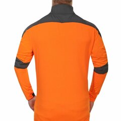 Рубашка с длинным рукавом мужская Entrenamiento  Puma Valencia CF 2020/21 цена и информация | Мужская спортивная одежда | 220.lv
