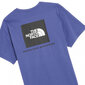 T-krekls vīriešiem The North Face, violets cena un informācija | Vīriešu T-krekli | 220.lv