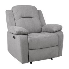 Кресло с откидной спинкой LOWRI электрическое, серый цена и информация | Кресла в гостиную | 220.lv