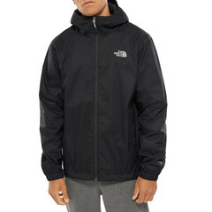 Vīriešu jaka The North Face, melna цена и информация | Мужские куртки | 220.lv