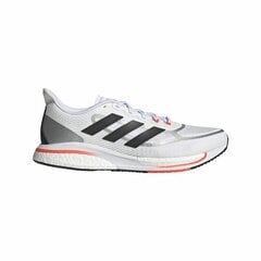 Vīriešu sporta apavi Adidas, balti cena un informācija | Sporta apavi vīriešiem | 220.lv
