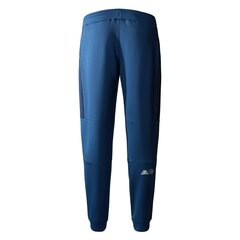 Vīriešu sporta bikses The North Face, zilas cena un informācija | Sporta apģērbs vīriešiem | 220.lv