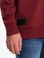 Džemperis vīriešiem Ombre Clothing 124384-7, brūns cena un informācija | Vīriešu jakas | 220.lv