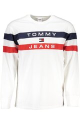 Tommy Hilfiger džemperis vīriešiem DM0DM16834, balts cena un informācija | Vīriešu džemperi | 220.lv