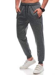 мужские спортивные штаны p1456 - серые 124513-7 цена и информация | Мужская спортивная одежда | 220.lv