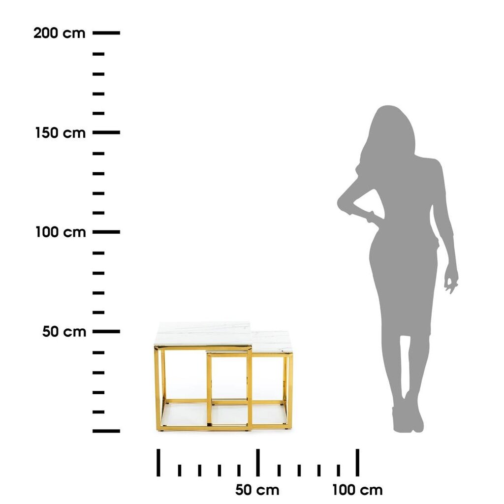 Divu galdiņu komplekts Gold Light cena un informācija | Žurnālgaldiņi | 220.lv