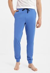 Мужские штаны, голубые  цена и информация | Мужские брюки | 220.lv