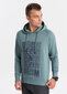 Džemperis vīriešiem Ombre Clothing OM-SSPS-0158, Zaļš cena un informācija | Vīriešu džemperi | 220.lv