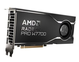 AMD Radeon Pro W7700 (100-300000006) cena un informācija | Videokartes (GPU) | 220.lv