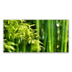 Reprodukcija Augu bambusa caurules lapas cena un informācija | Gleznas | 220.lv