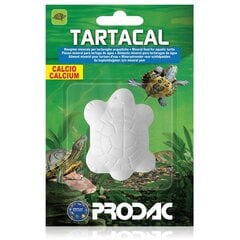 Prodac Tartacal barība ūdens bruņurupučiem, 15g/12 цена и информация | Корм для экзотических животных | 220.lv