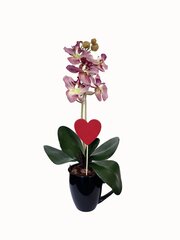 Mākslīgā orhideja Meitene, 35 cm cena un informācija | Mākslīgie ziedi | 220.lv