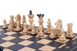 Šahs Ambassador, zils cena un informācija | Galda spēles | 220.lv