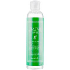 Atsvaidzinošs un nomierinošs sejas toniks Secret Key Tea Tree Refresh Calming Toner, 248 ml cena un informācija | Sejas ādas kopšana | 220.lv