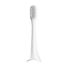 Toothbrush tips ENCEHN Aurora T+  (white) цена и информация | Насадки для электрических зубных щеток | 220.lv