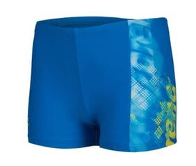 Плавки для мальчиков Arena Splash Point Swim Short Blue China цена и информация | Плавки для мальчиков | 220.lv